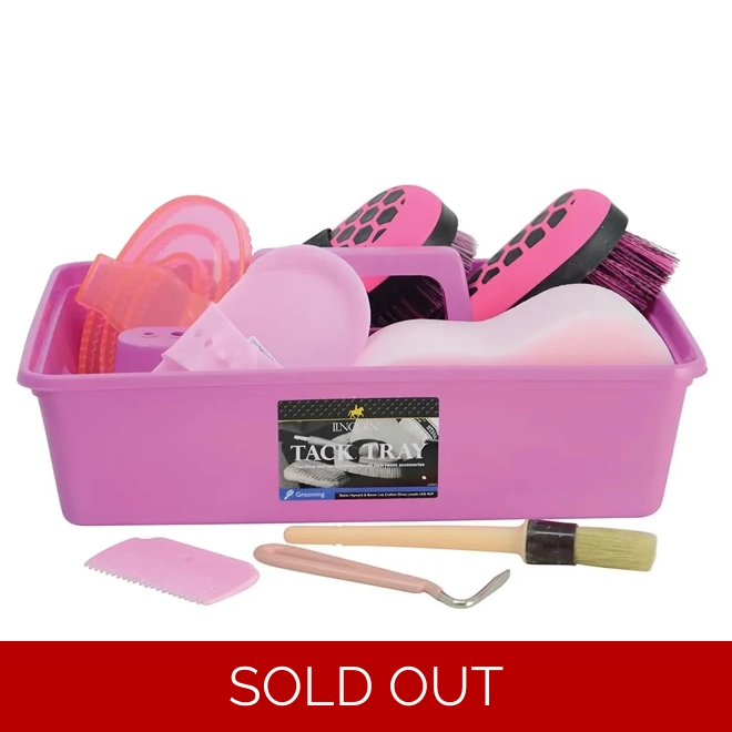 product Image for Lincoln Complete Grooming Kit - Pink
